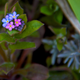 Image for article titled Shooting Challenge: Spring